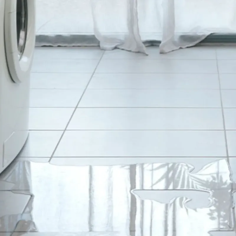 Appliance Leak Cleanup in Bellingham, MA