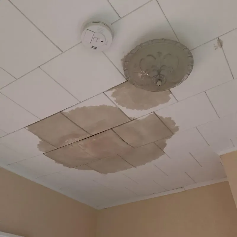 Ceiling Water Damage Repair in Bellingham, MA