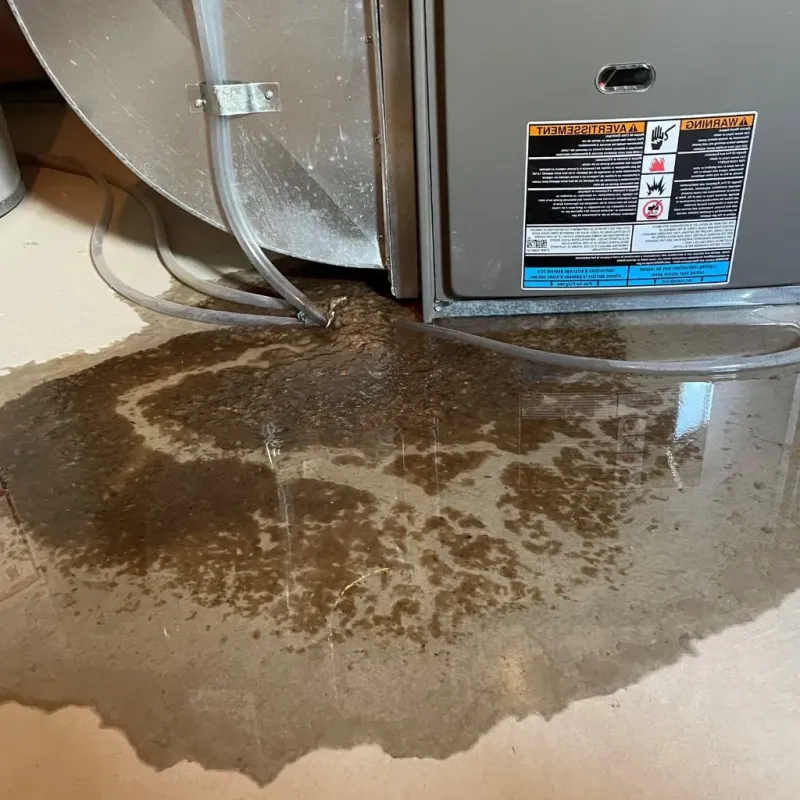 Pipe Burst and Leak Restoration in Bellingham, MA